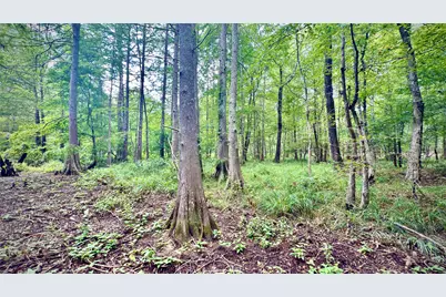 0 Winn School Road, Hosston, LA 71043 - Photo 13