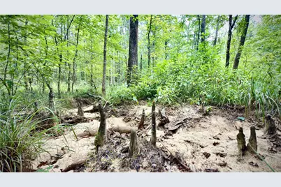 0 Winn School Road, Hosston, LA 71043 - Photo 9