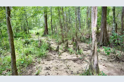 0 Winn School Road, Hosston, LA 71043 - Photo 5