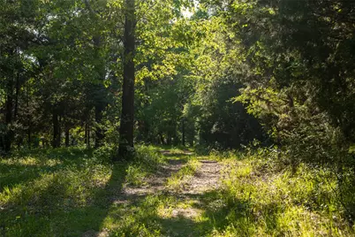 0 County Road 2402, Canton, TX 75103 - Photo 33