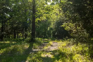 0 County Road 2402, Canton, TX 75103 - Photo 33