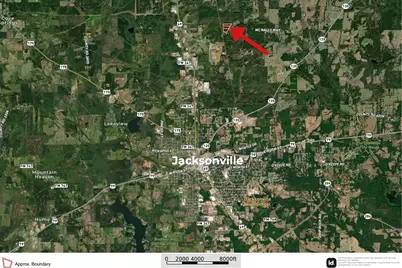 1249 County Road 4102, Jacksonville, TX 75766 - Photo 33