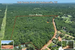 1249 Co Rd 4102, Jacksonville, TX 75766 - Photo 1