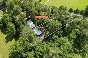 177 Co Rd 3689, Big Sandy, TX 75755 - Photo 11