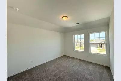 713 Roanoke Drive, Princeton, TX 75407 - Photo 29