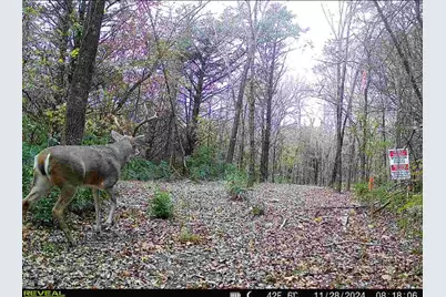 Tbd 3rd Street, Pottsboro, TX 75076 - Photo 31