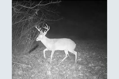 Tbd 3rd Street, Pottsboro, TX 75076 - Photo 27