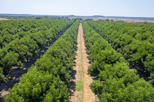 4155 W US Hwy 190, San Saba, TX 76877 - Photo 5