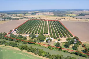 4155 W US Hwy 190, San Saba, TX 76877 - Photo 3