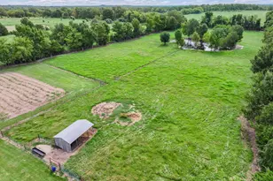 3403 VZ County Rd 1110, Grand Saline, TX 75140 - Photo 5