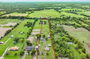 3403 VZ County Rd 1110, Grand Saline, TX 75140 - Photo 3