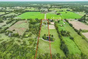 3403 VZ County Rd 1110, Grand Saline, TX 75140 - Photo 9