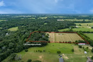 19531 Co Rd 4056, Kemp, TX 75143 - Photo 3