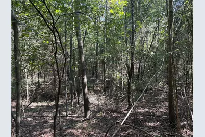 Tbd Fm 69 #Tract 2, Como, TX 75431 - Photo 7