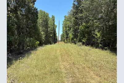 Tbd Fm 69 #Tract 2, Como, TX 75431 - Photo 3