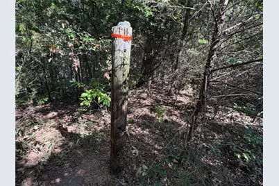 Tbd Fm 69 #Tract 2, Como, TX 75431 - Photo 13