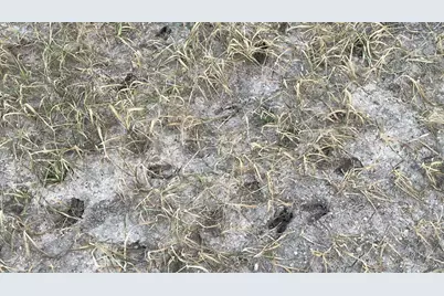 Tbd E Hcr 2224, Aquilla, TX 76622 - Photo 3