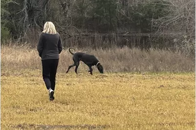 Tbd E Hcr 2224, Aquilla, TX 76622 - Photo 1