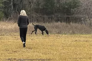 Tbd E Hcr 2224, Aquilla, TX 76622 - Photo 1