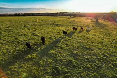 Tbd Bennett Road, Howe, TX 75459 - Photo 3