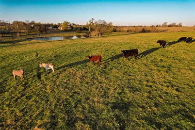 Tbd Schneider Rd Road, Howe, TX 75459 - Photo 11