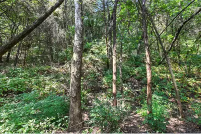 1917 Juniper Ridge Road, Cedar Hill, TX 75104 - Photo 15