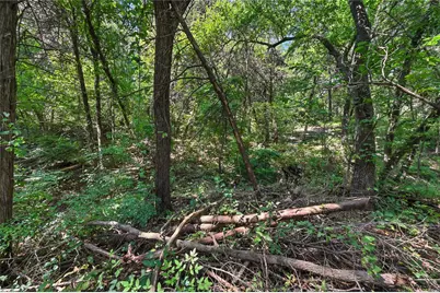 1917 Juniper Ridge Road, Cedar Hill, TX 75104 - Photo 19