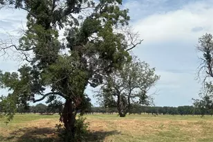 1067 River Rnch Ln, Weatherford, TX 76087 - Photo 1