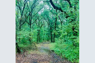 9744 Shady Lane, Quinlan, TX 75474 - Photo 7