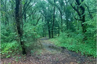 9744 Shady Lane, Quinlan, TX 75474 - Photo 3