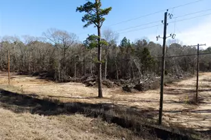 20175 S Hwy 155 Lot E1, Flint, TX 75762 - Photo 15