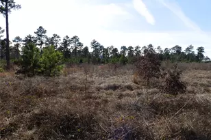 20175 S Hwy 155 Lot E1, Flint, TX 75762 - Photo 27