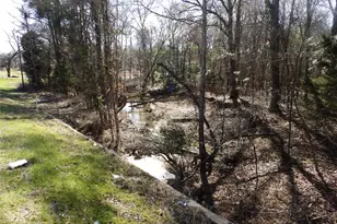 20175 S Hwy 155 Lot E1, Flint, TX 75762 - Photo 35