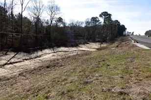 20175 S Hwy 155 Lot E1, Flint, TX 75762 - Photo 17