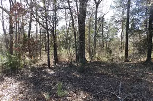 20175 S Hwy 155 Lot E1, Flint, TX 75762 - Photo 33