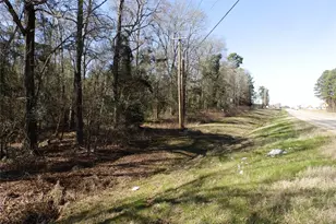 20175 S Hwy 155 Lot E1, Flint, TX 75762 - Photo 39