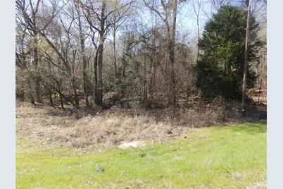 20175 S Hwy 155 Lot E1, Flint, TX 75762 - Photo 37