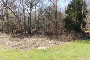 20175 S Hwy 155 Lot E1, Flint, TX 75762 - Photo 37