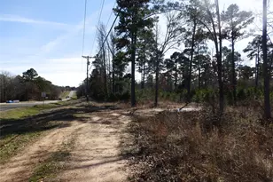 20175 S Hwy 155 Lot E1, Flint, TX 75762 - Photo 29