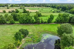 3399 Vz County Road 1110 Rd, Grand Saline, TX 75140 - Photo 7