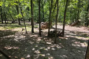 3872 E State Hwy 154, Quitman, TX 75783 - Photo 19