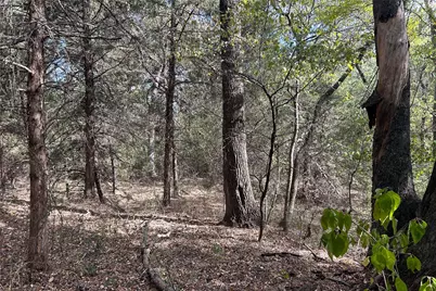 Tbd8 County Road 141, Callisburg, TX 76240 - Photo 7