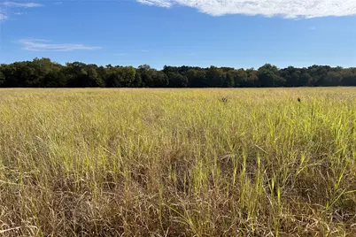 Tbd8 County Road 141, Callisburg, TX 76240 - Photo 3