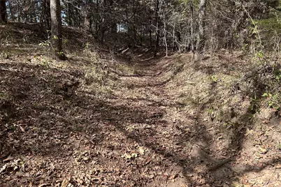 Tbd8 County Road 141, Callisburg, TX 76240 - Photo 9