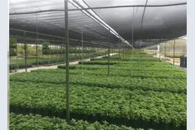 7193 Old Talley Rd Trlr 7 Road, San Antonio, TX 78253 - Photo 13