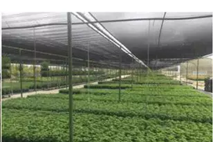 7193 Old Talley Rd Trlr 7 Rd, San Antonio, TX 78253 - Photo 13