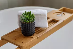 904 Beall St, Denton, TX 76207 - Photo 29