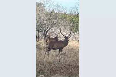 Lot 175 Heartleaf Drive, Lampasas, TX 76550 - Photo 11