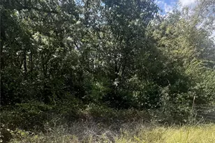 6421 Pioneer Trail, Valley View, TX 76272 - Photo 1