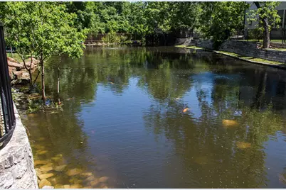 6319 Turner Way, Dallas, TX 75230 - Photo 39